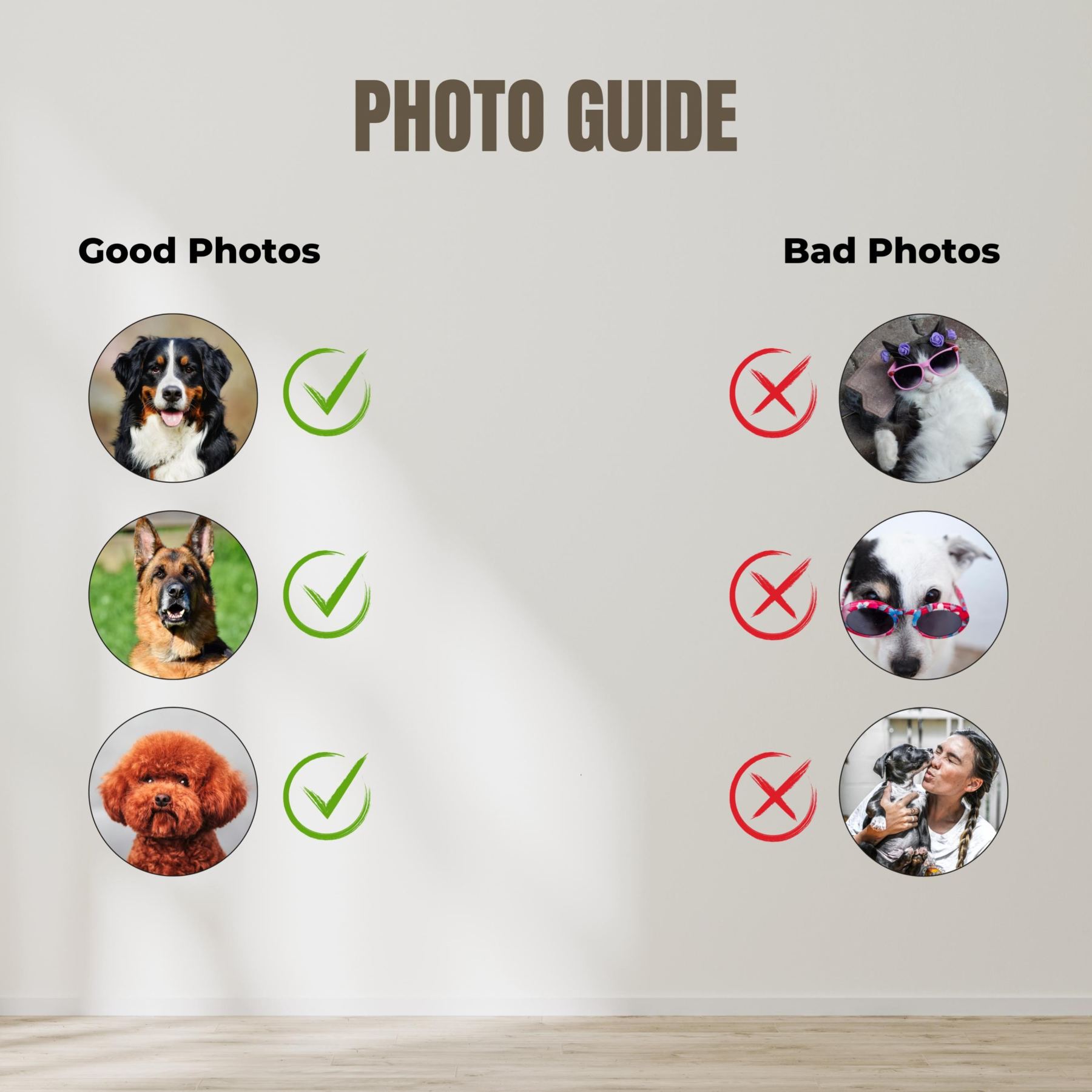 Custom American Football Pet Portrait with Team Jersey