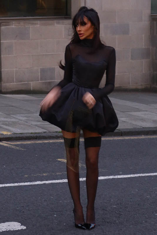 Winter Elegant Mesh Sheer Slim Fit Puff Mini Dress-ROVOLE