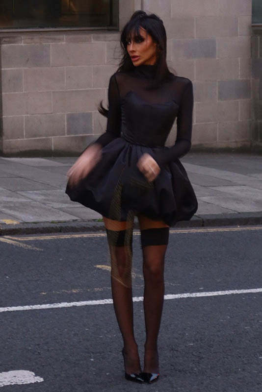 Winter Elegant Mesh Sheer Slim Fit Puff Mini Dress-ROVOLE