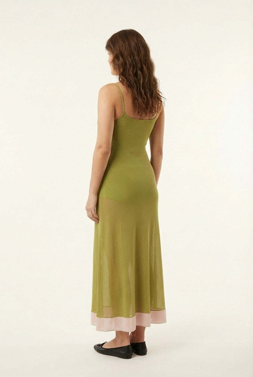 Sheer Muse Ribbed Knit Contrast Midi Dress