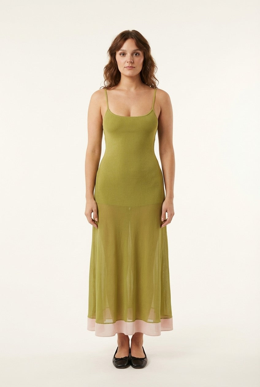 Sheer Muse Ribbed Knit Contrast Midi Dress