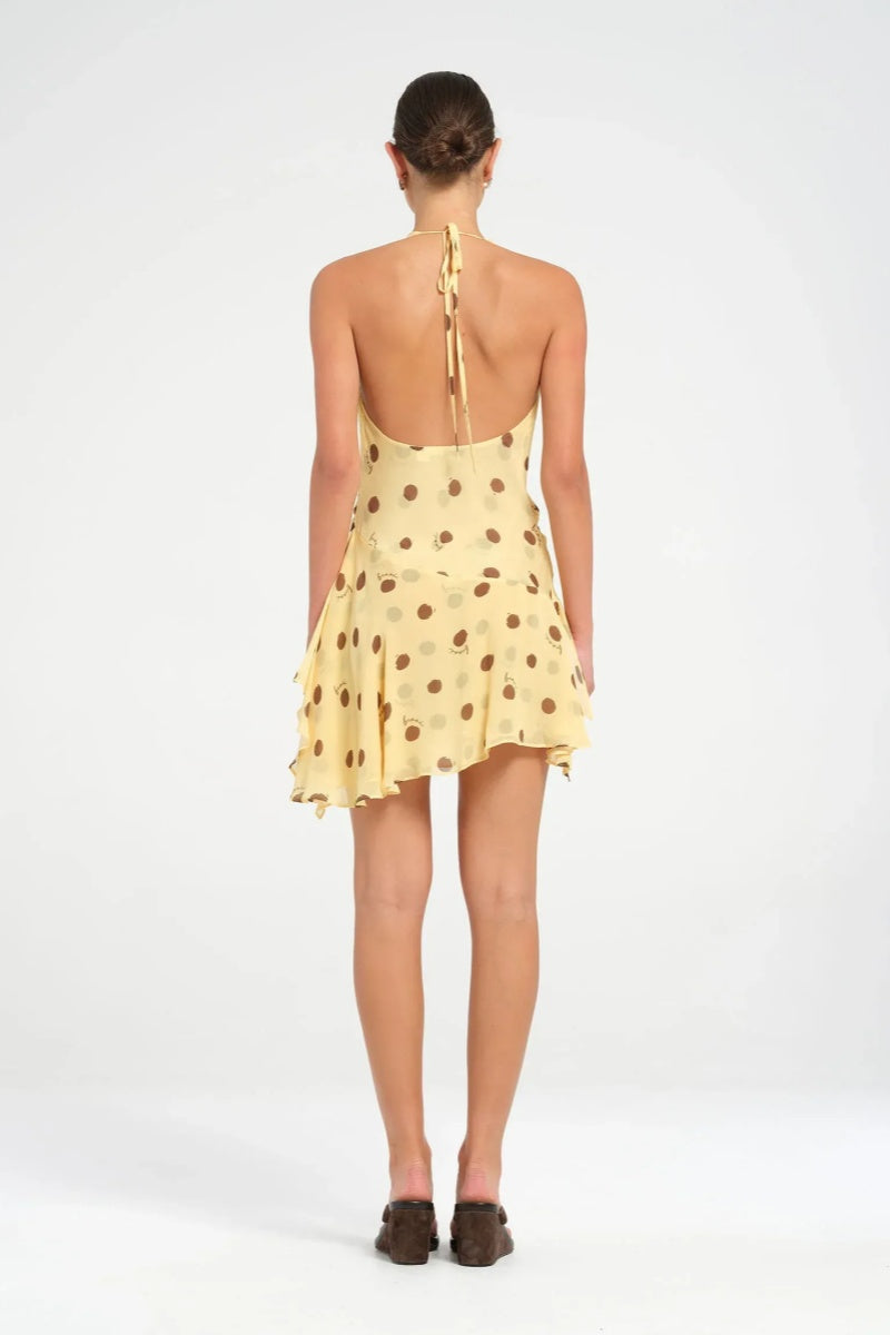 Harlow Mini Dress-ROVOLE