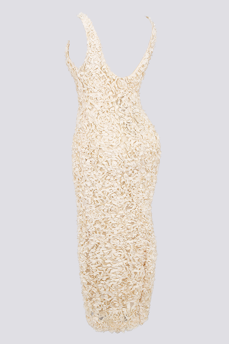 Cyprine Plunge Neck Backless Maxi Dress-ROVOLE