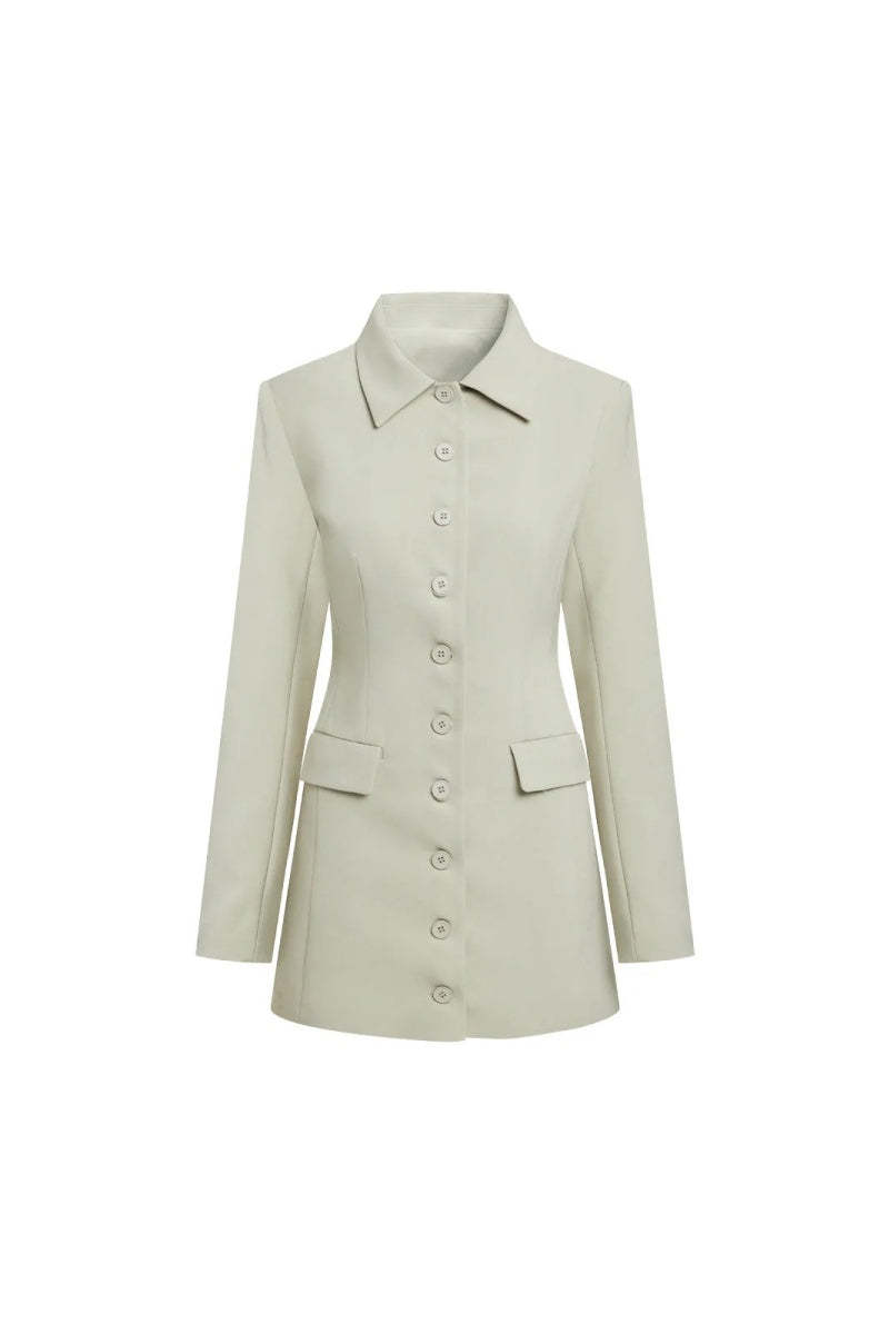 Cheri Long Sleeve Mini Dress-ROVOLE