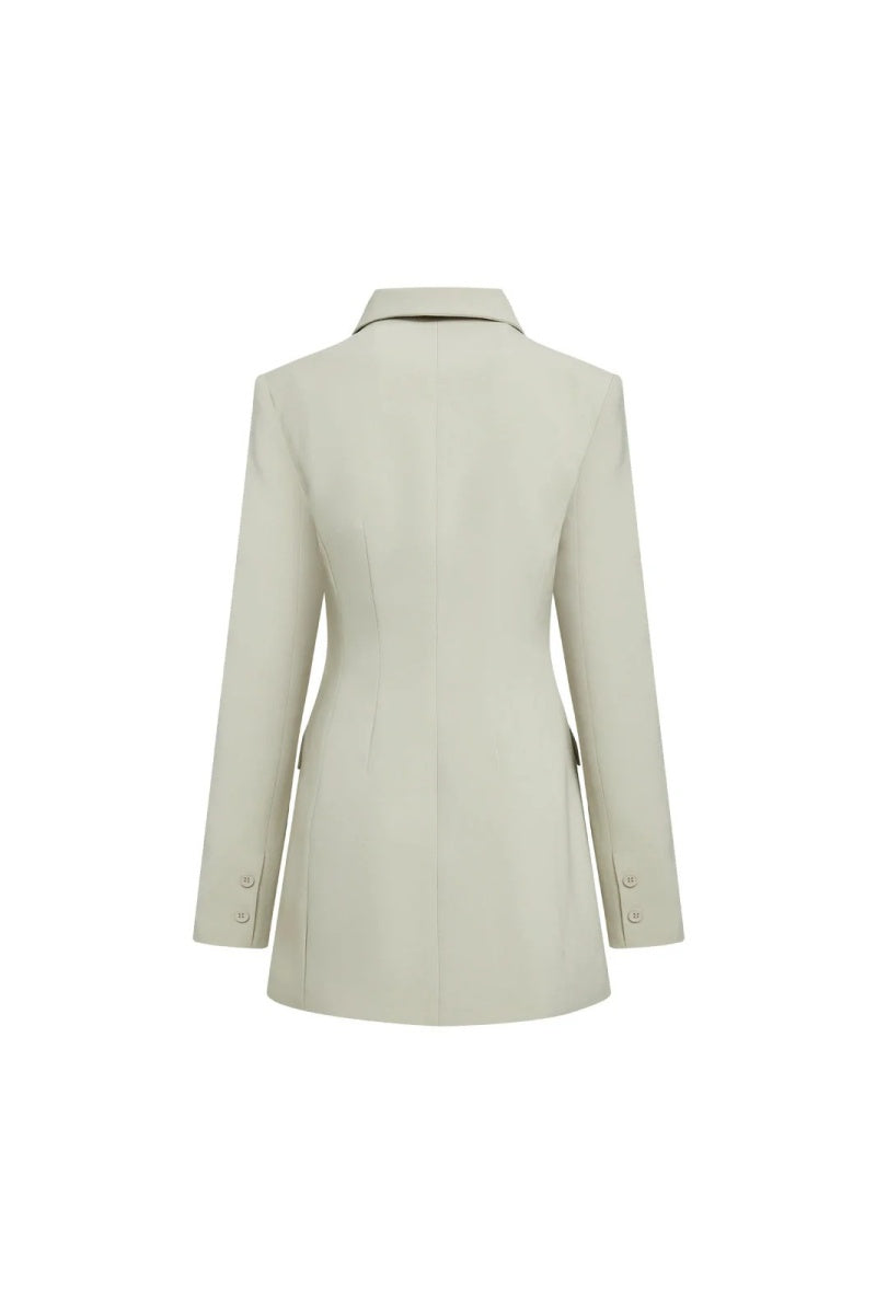 Cheri Long Sleeve Mini Dress-ROVOLE