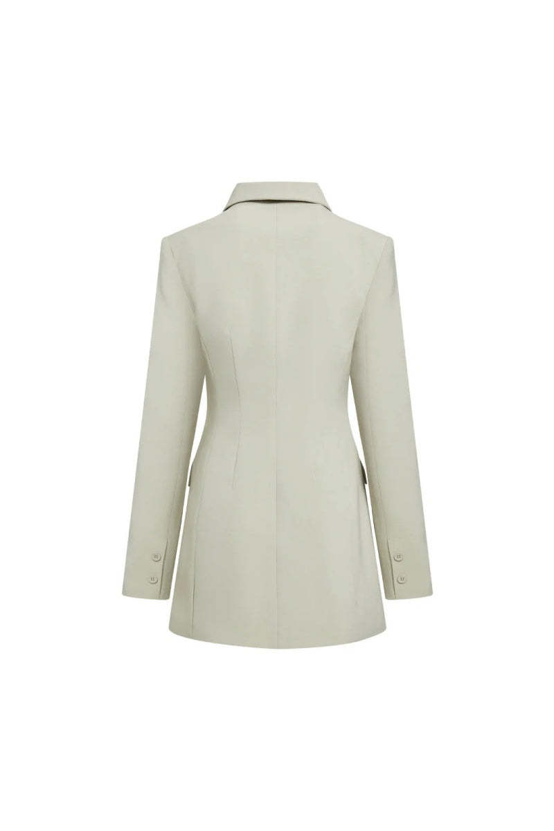 Cheri Long Sleeve Mini Dress-ROVOLE