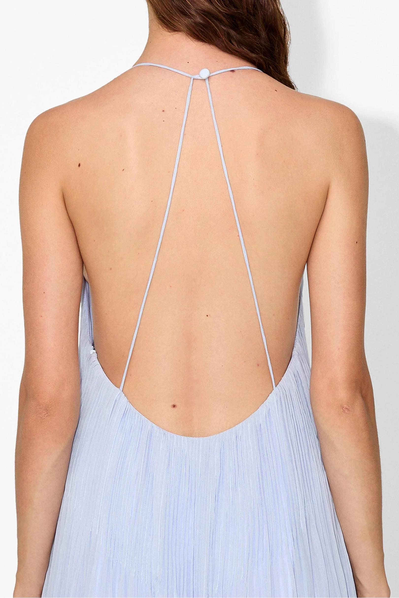 Haydin Maxi Dress - Hydrangea-ROVOLE