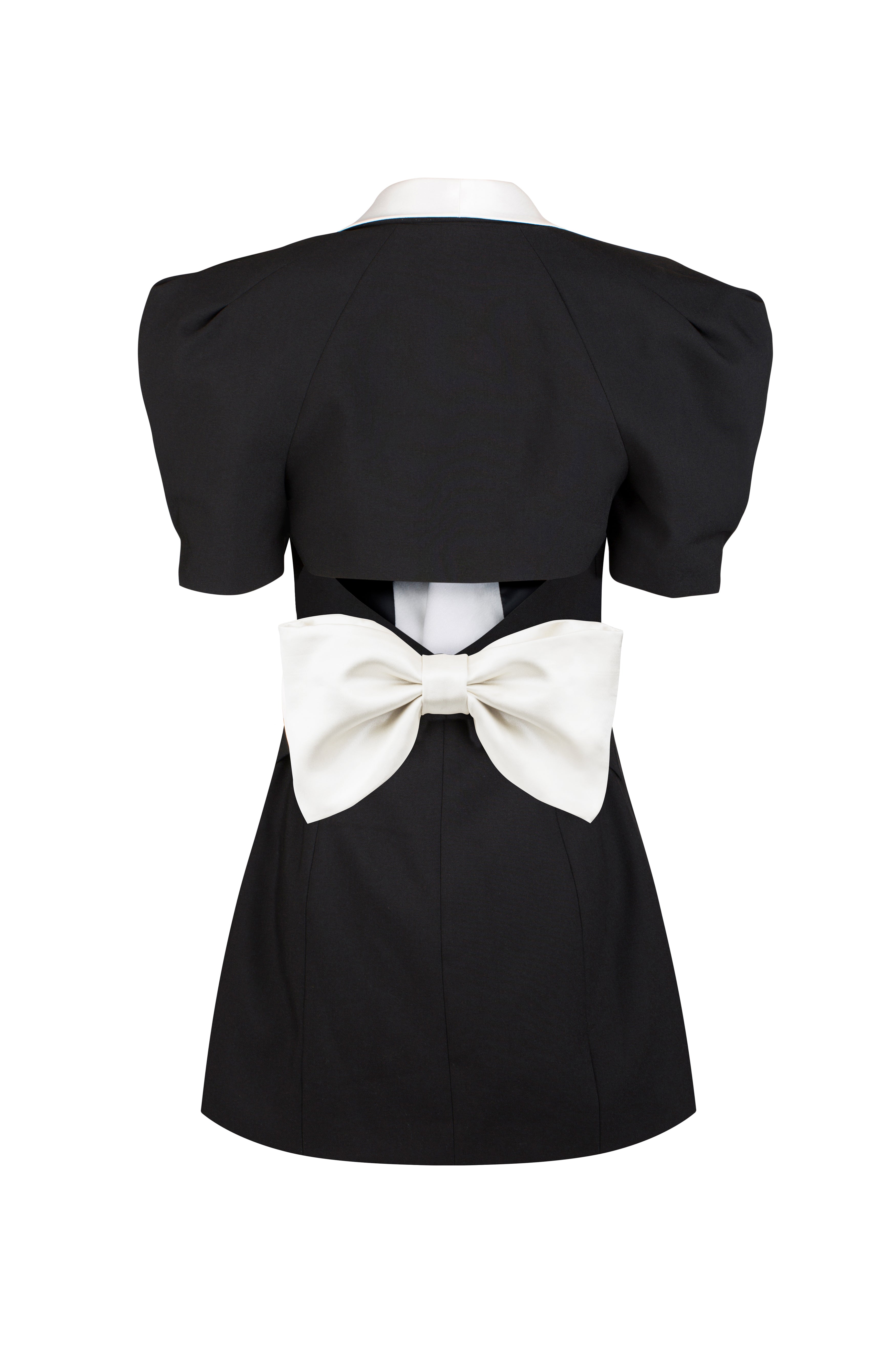 Elsie V-neck Backless Bowtie Mini Dress-ROVOLE