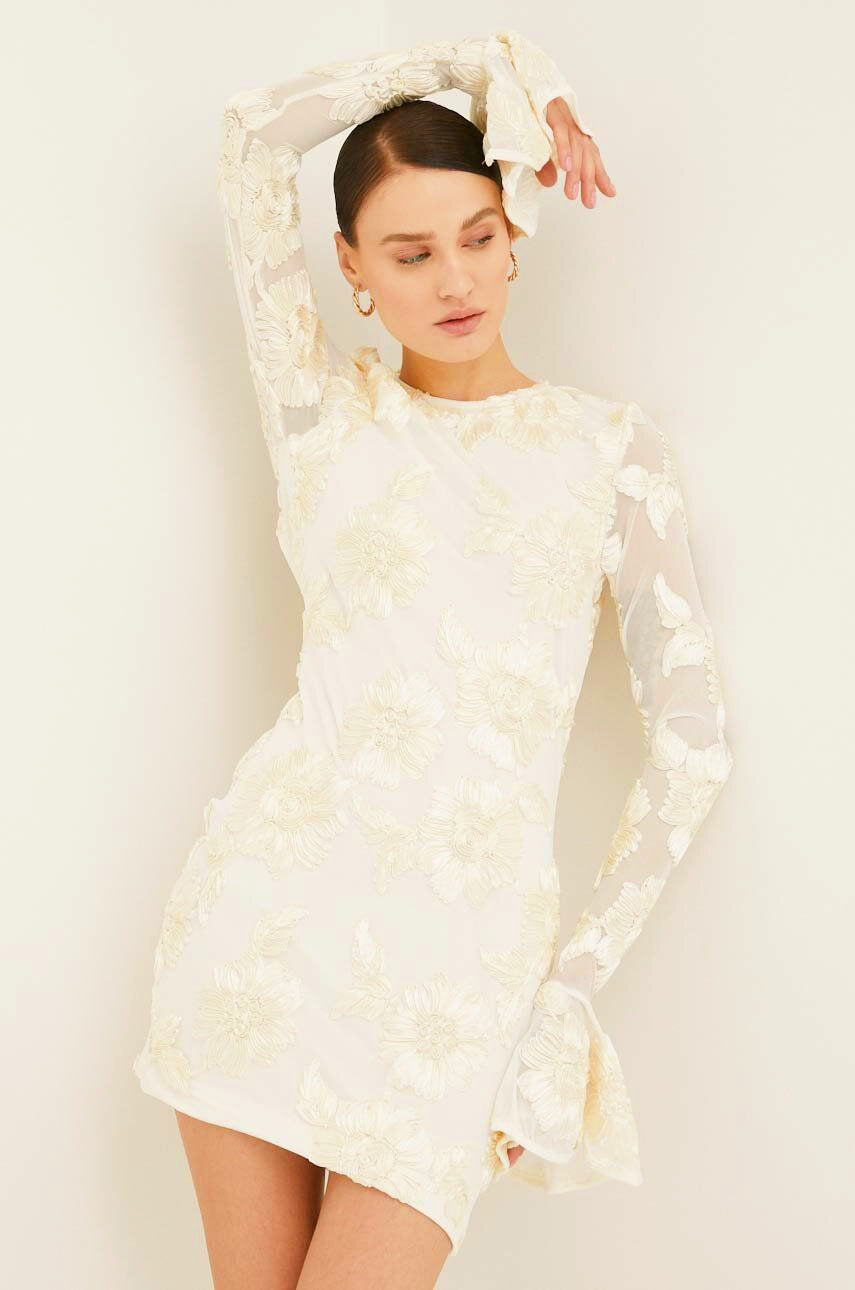 Aurora Embroidered Backless Mesh Mini Dress-ROVOLE