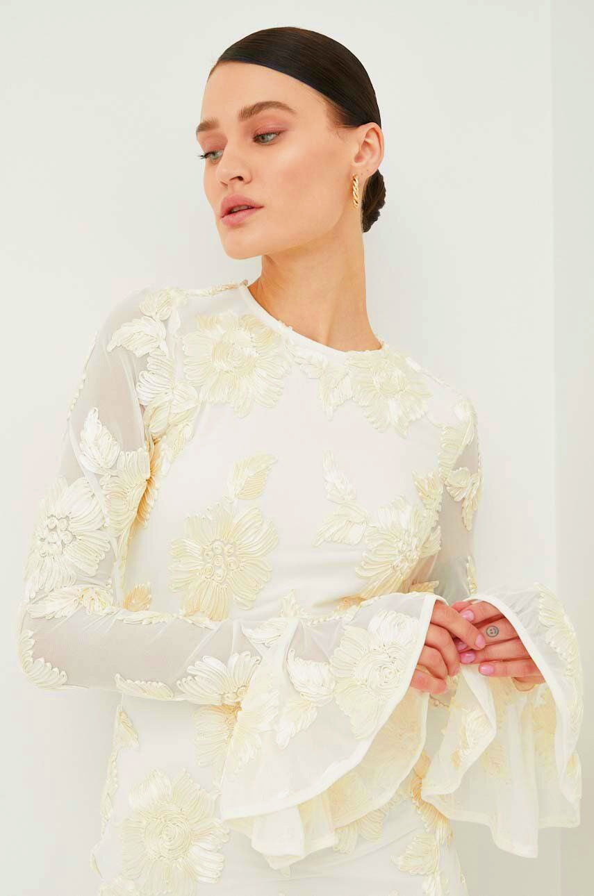 Aurora Embroidered Backless Mesh Mini Dress-ROVOLE