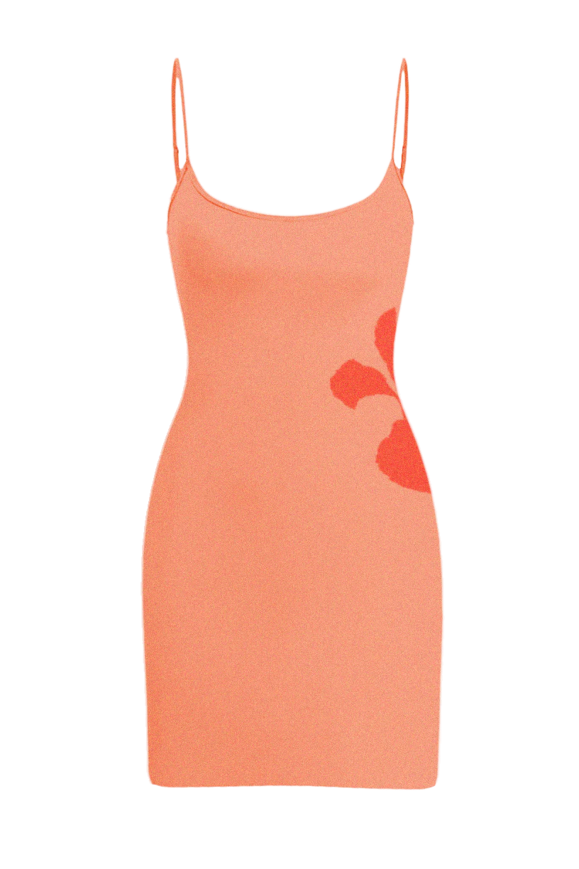 Mali Knit Mini Dress-ROVOLE