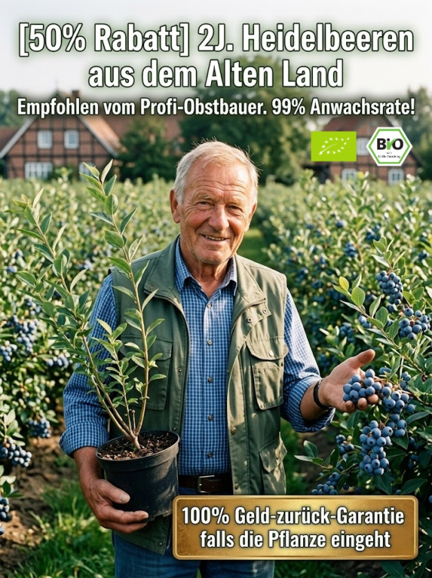 [PFLANZSAISON-ANGEBOT] Zweijährige Premium-Heidelbeer-Setzlinge aus dem Alten Land