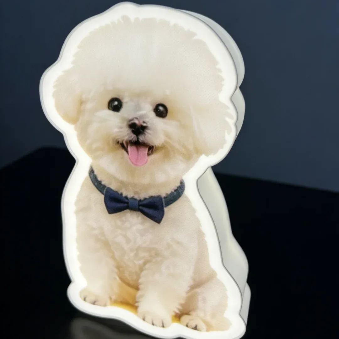 Personalized Cat & Dog Motion Sensor Wall Lamp Custom Pet Photo Night Light for Pet Lover - 