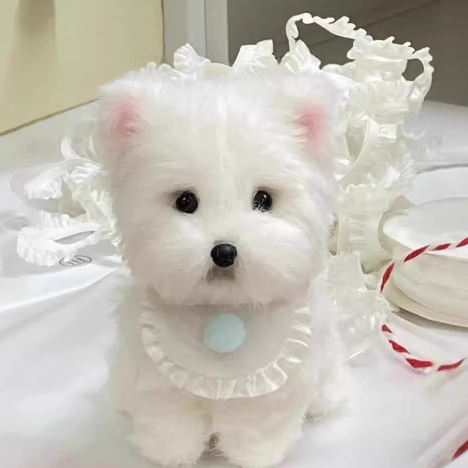 Custom Long-Pile Plush Pet Charm-Personalized Plush Pet Accessory Handmade from Your Photo