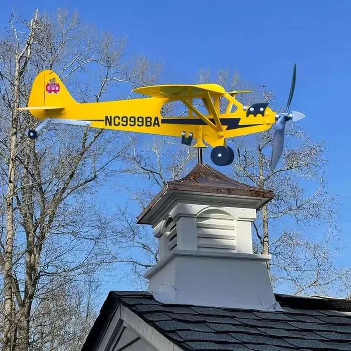 ✈️Airplane Weathervane