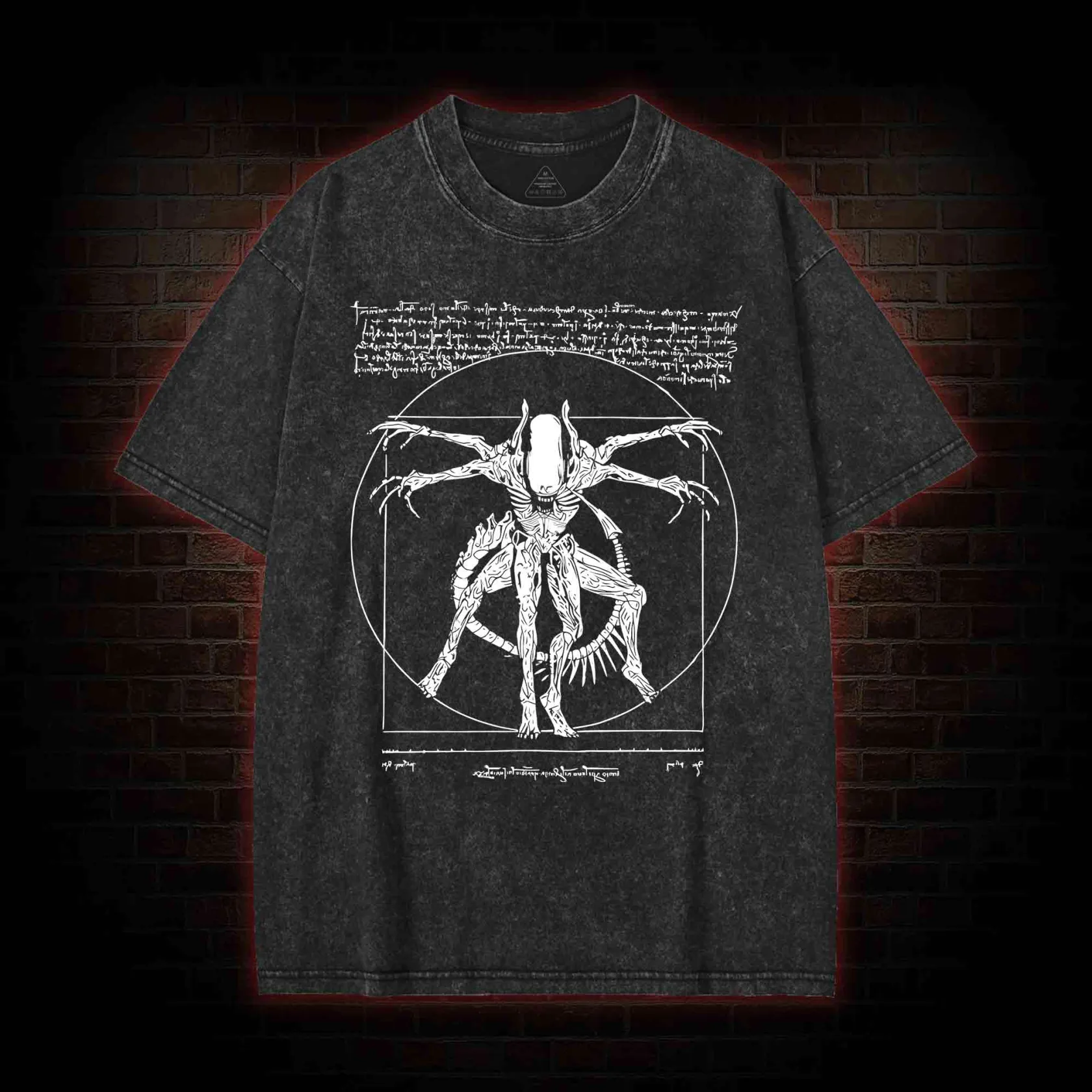 Alien Washed T-shirt