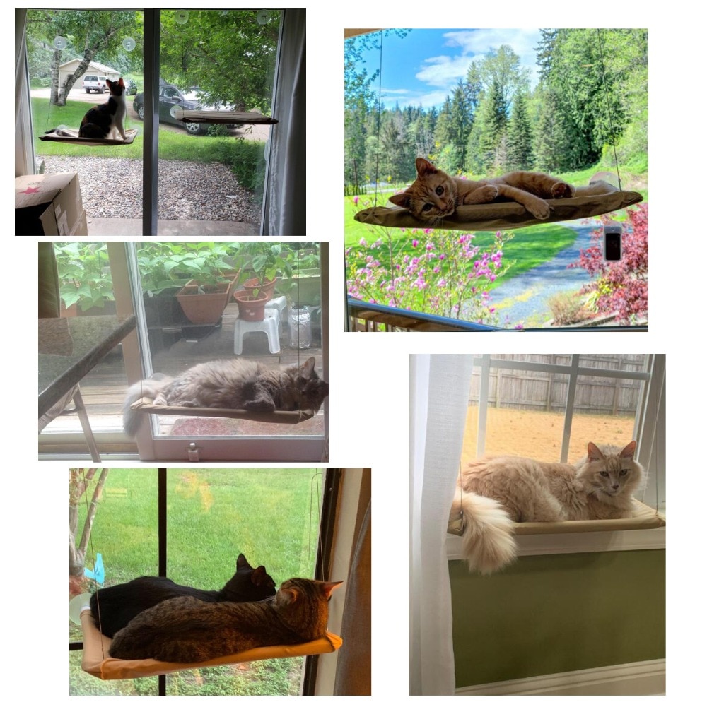 Cat Sunny Seat Window Mount Pet Cat Hammock Comfortable Cat Pet Bed Mat Cute Pet Hanging Beds Set Bearing 20kg