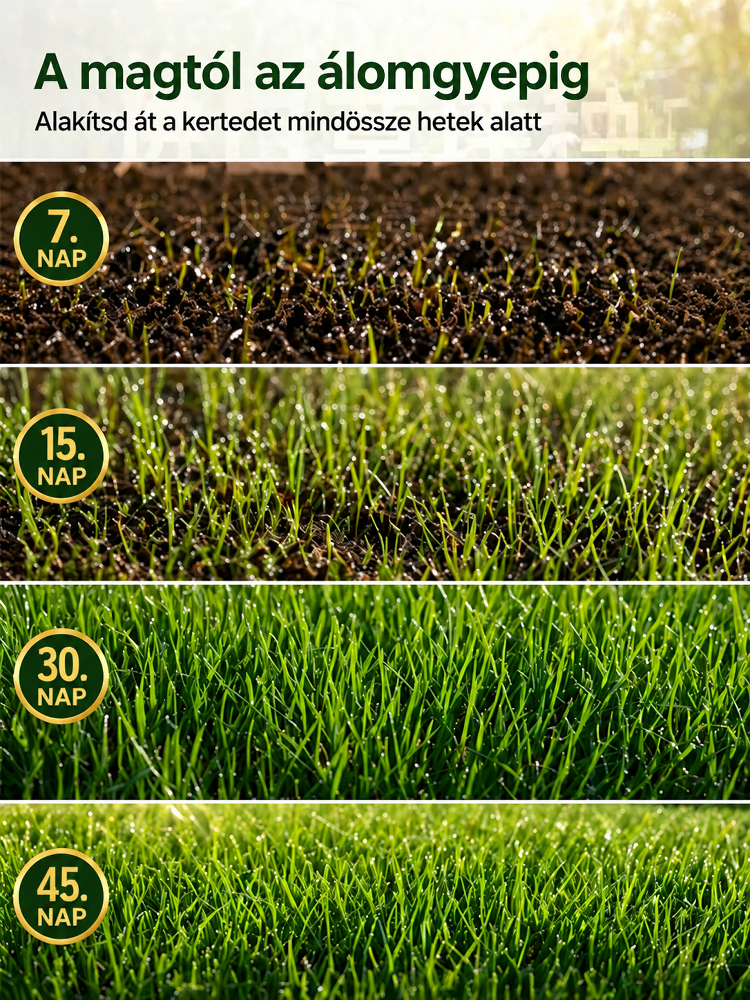 mindössze 7 nap alatt sűrű gyepet alkot!🌱