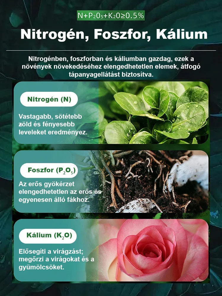 Haldokló a növényed? 😱 NE DOBD KI! Van egy csodaszerünk! ✨