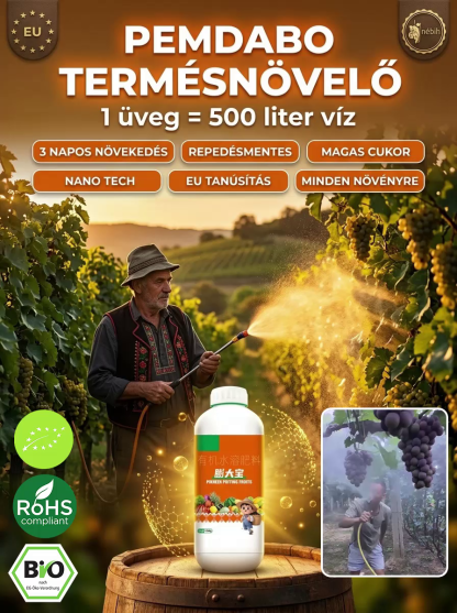 🌟 Növelje a hozamot, Duplázza meg a profitot! 🌟
