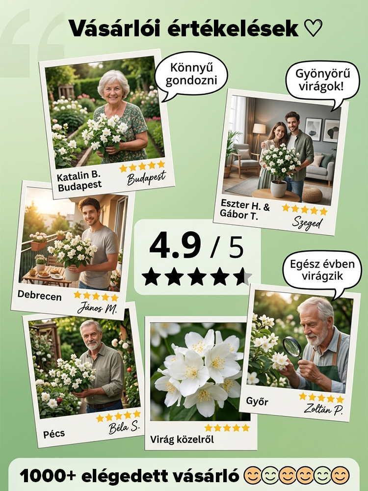 🎍Lecsengő jázmin -- elegáns, illatos, mindenki szereti! 🌸 Ne vegyél több légfrissítőt! Ültess inkább ezt. ✨