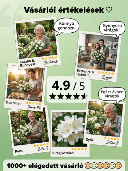 🎍Lecsengő jázmin -- elegáns, illatos, mindenki szereti! 🌸 Ne vegyél több légfrissítőt! Ültess inkább ezt. ✨