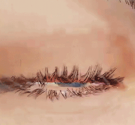 417628cc035351d8d73ff19e805439f2.gif