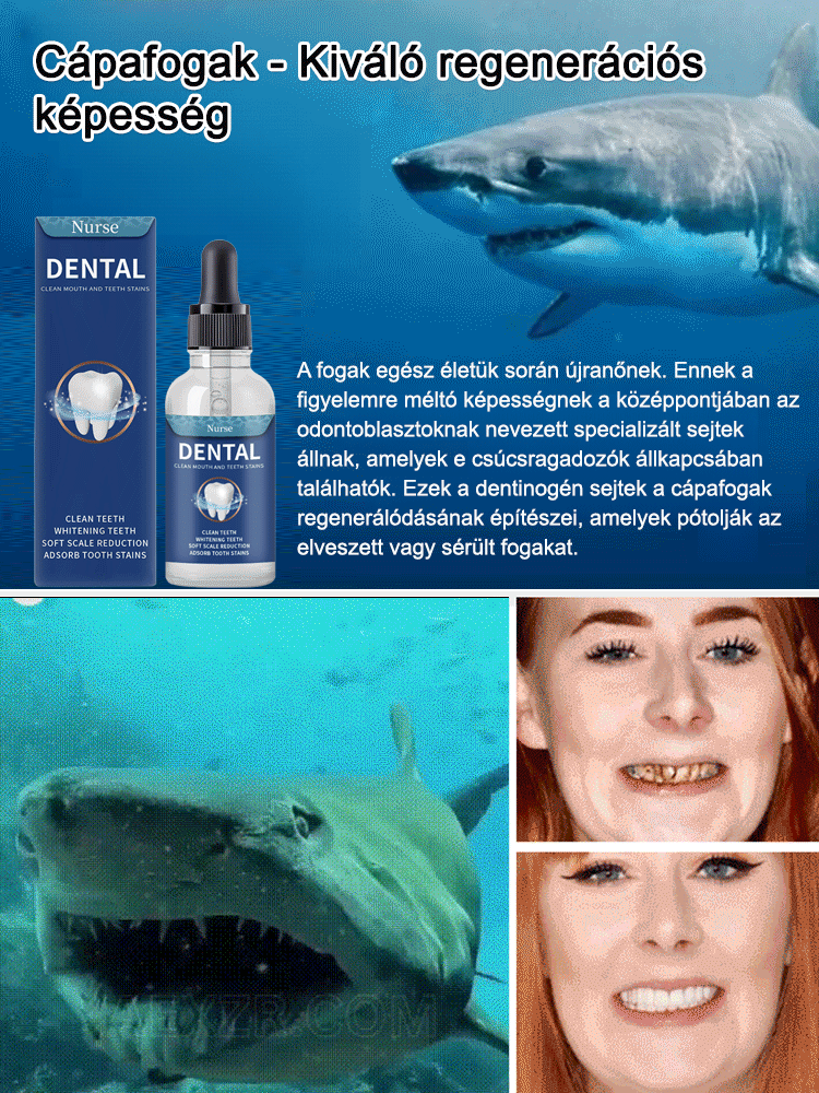 SL-Fogregeneráló ápoló cseppek