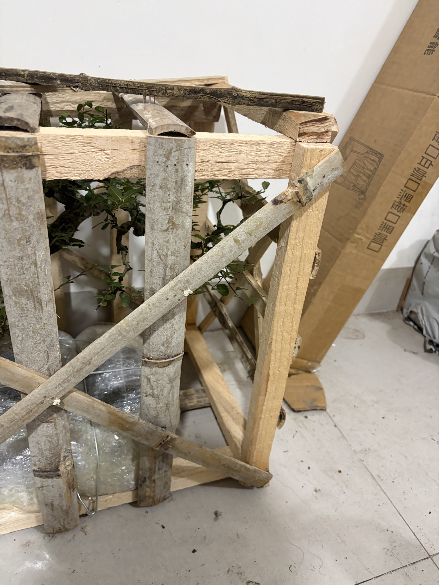 Customer‑supplied live plant, shipping & plant cost at customer’s own expense
