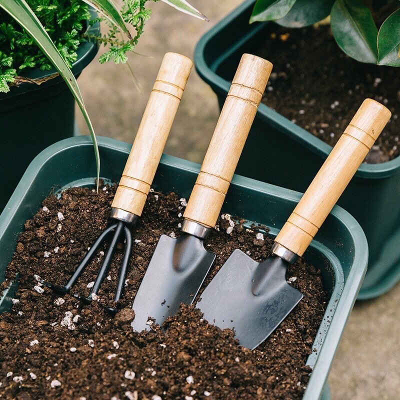 Heavy Duty 3-Piece Gardening Tool Set for Digging, Planting, Repotting Succulents