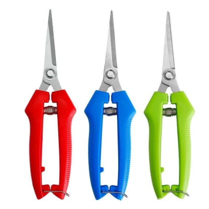 3pcs Flower and Succulent Pruning Scissors（Blue、Red、Green）