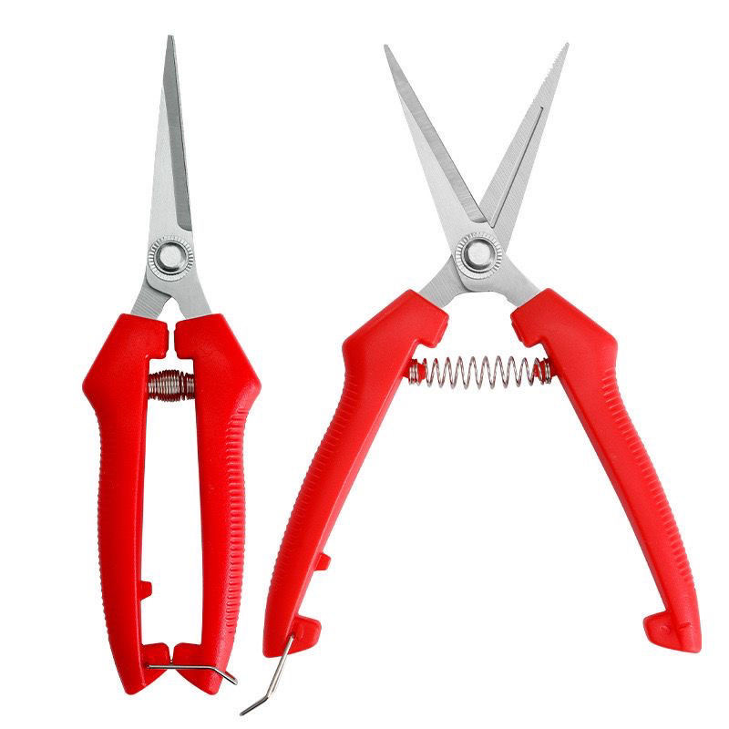 3pcs Flower and Succulent Pruning Scissors（Blue、Red、Green）