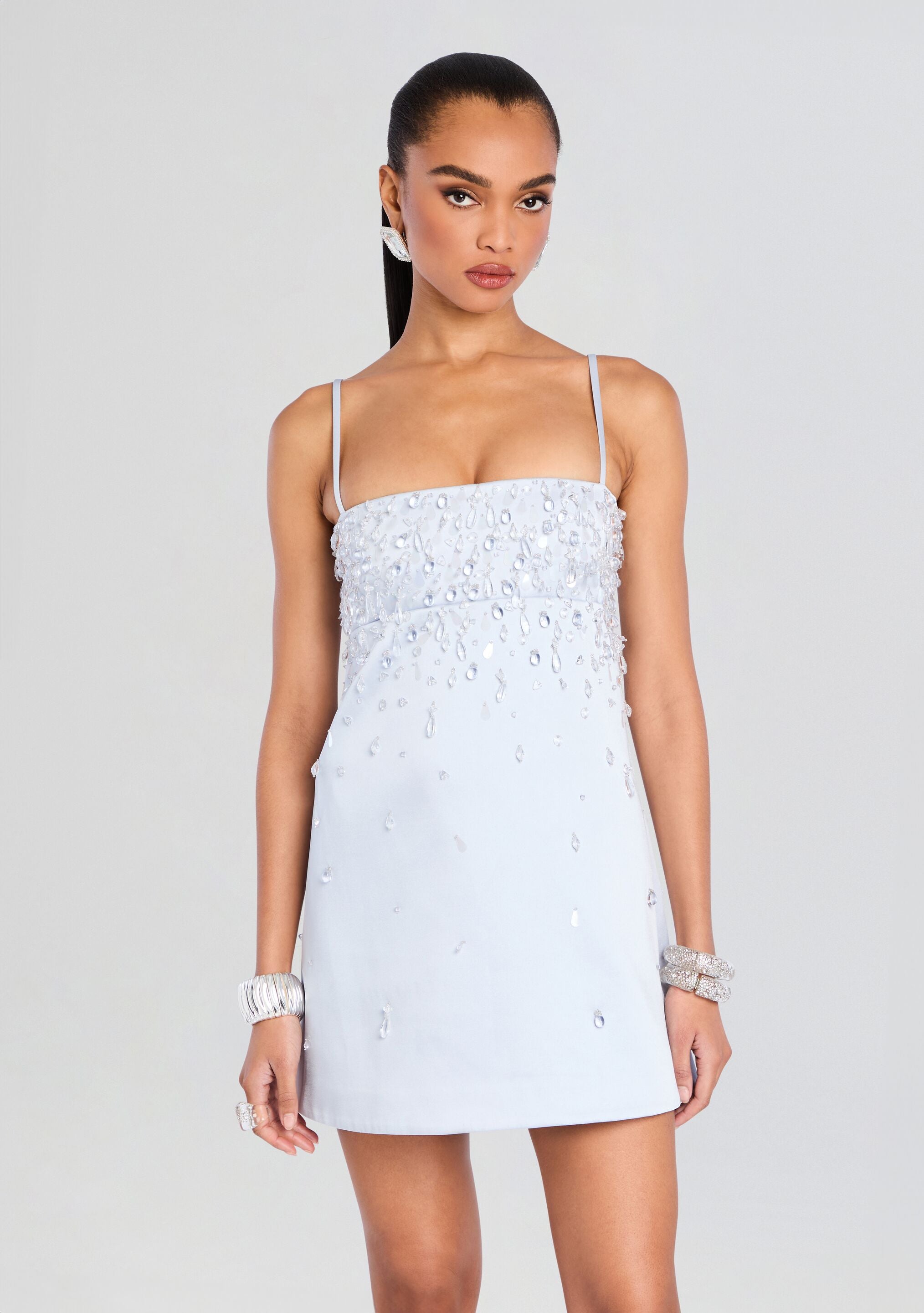 Cornelia Embellished Dress-Sunny Prom