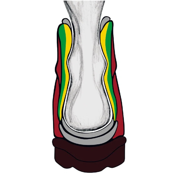 Meindl Woodwalker Pro GTX Forestry Boot