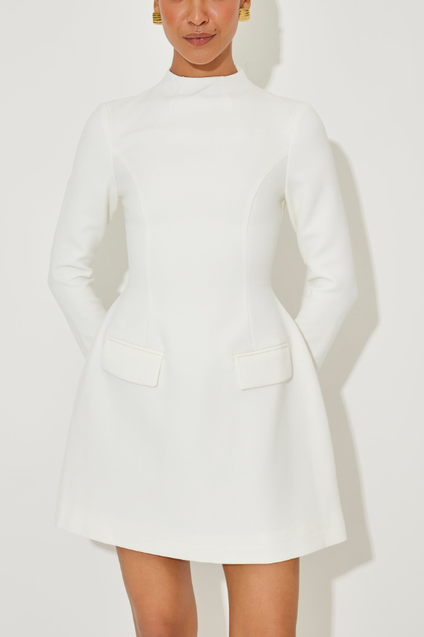 Small Stand Collar Long Sleeve Dress