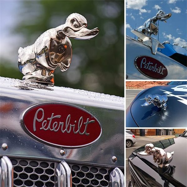 Duck hood ornament shown on multiple custom vehicles