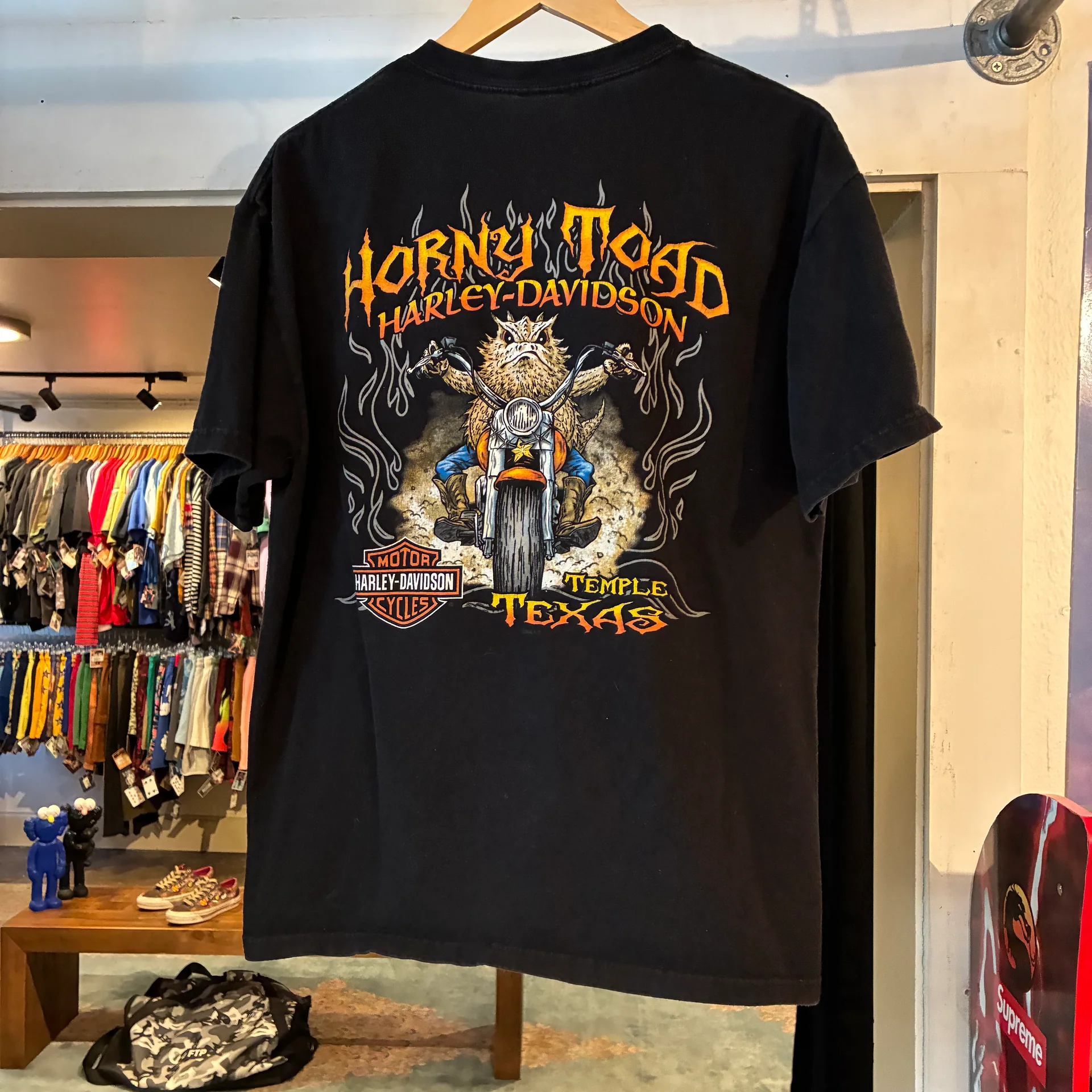Vintage Harley Davidson Horny Toad Graphic T Shirt 2000s