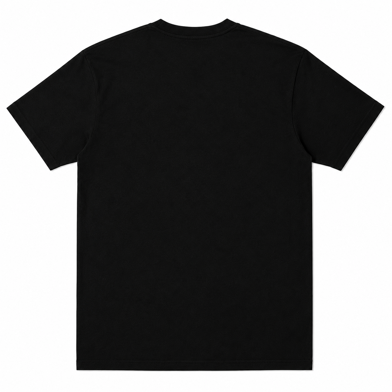 1981 ☠︎ Diary of a Mad Man ☠ Band Tee Collection