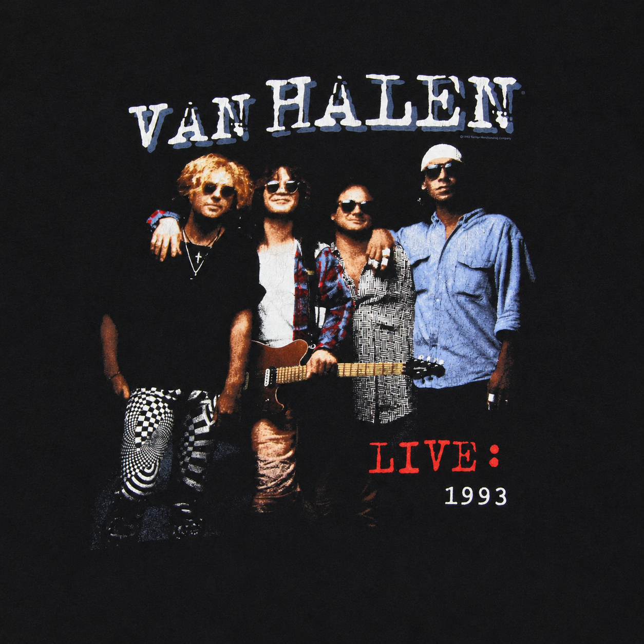 Van Halen 1993 World Tour T Shirt (Large) - Please Read Description!