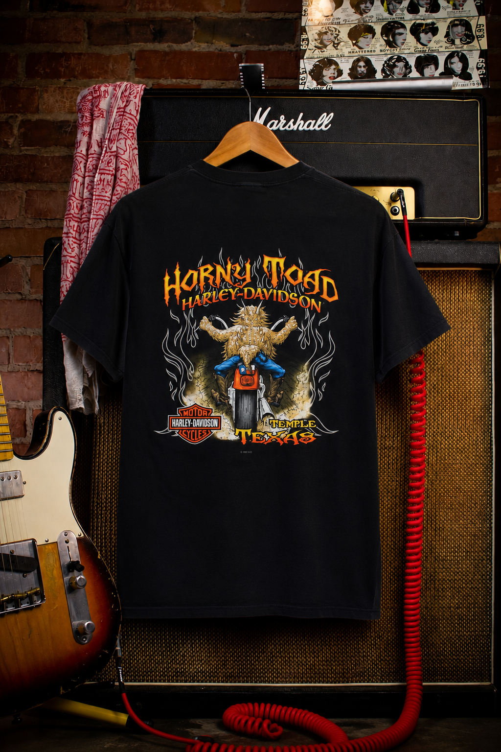 Vintage Harley Davidson Horny Toad Graphic T Shirt 2000s