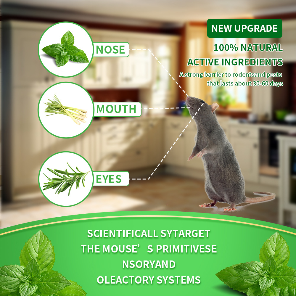 🔥Peppermint Cinnamon Oil Mice Repellent for Squirrel Rats Spider Pests, Mice Repellent for Indoor/Outdoor Use