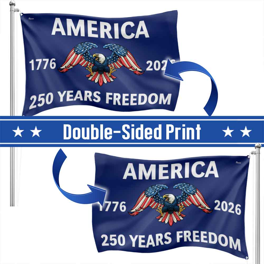 Flagwix American Flag - America 250th Anniversary Grommet Freedom 4th of july Flag
