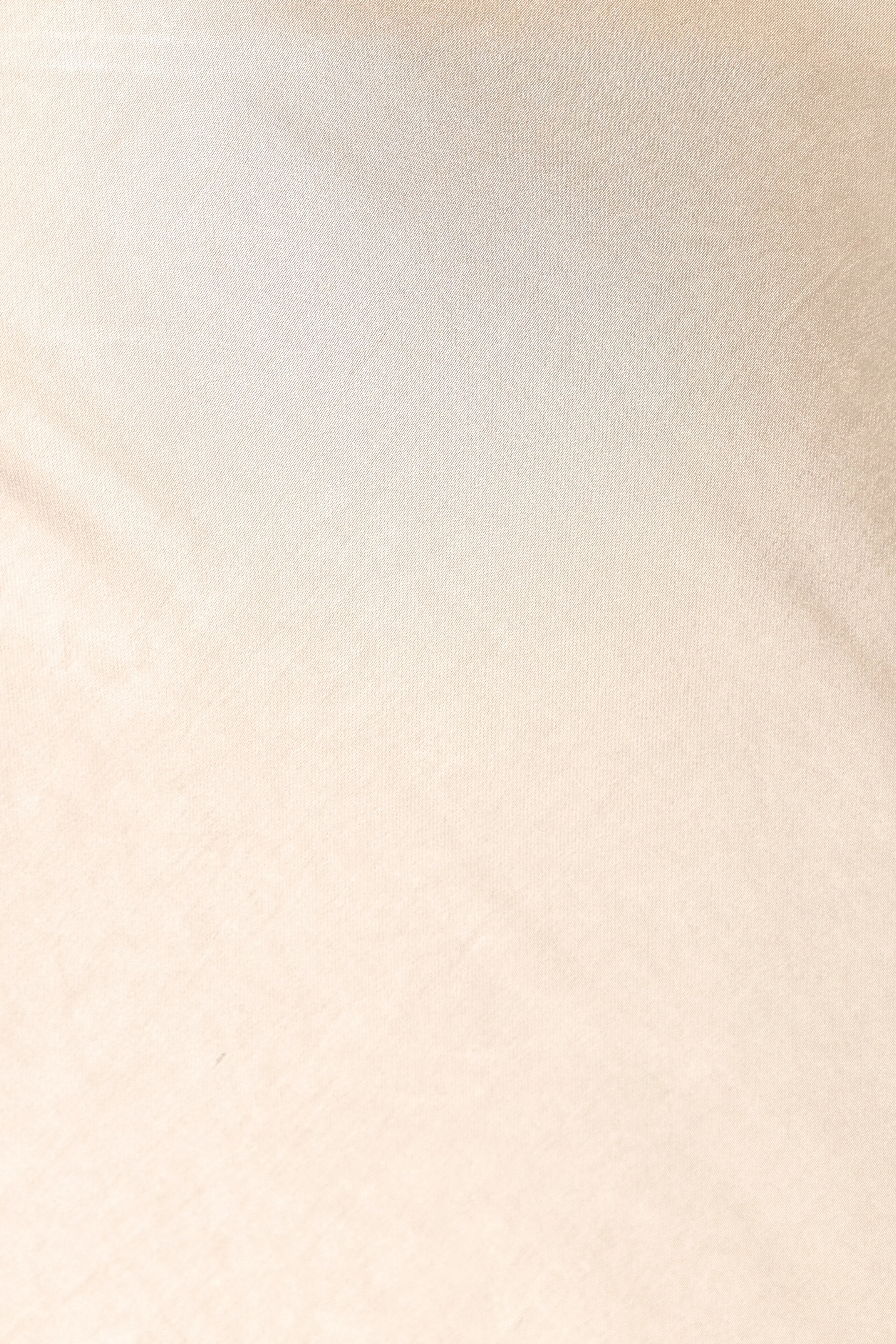 Melrose Maxi Skirt - Champagne-Rgtroy