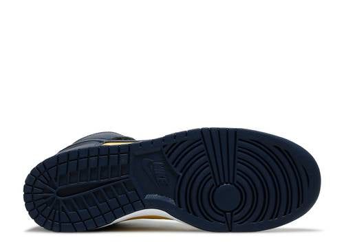 Nikhjgke Dunk High Heel Shoes