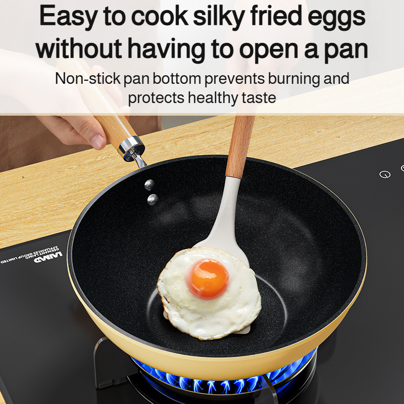 Lightweight special uncoated induction cooker