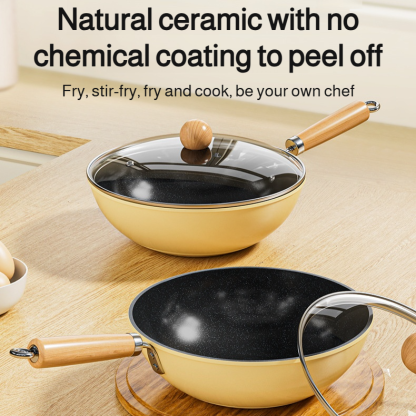 Lightweight special uncoated induction cooker