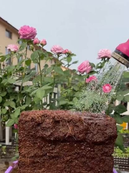 🌱Skompresowane Podłoże Kokosowe Premium | 10x Pęcznienie w 3 Sekundy | Odsalane Bez Szkodników | Koniec z Dźwiganiem Ziemi 🪴