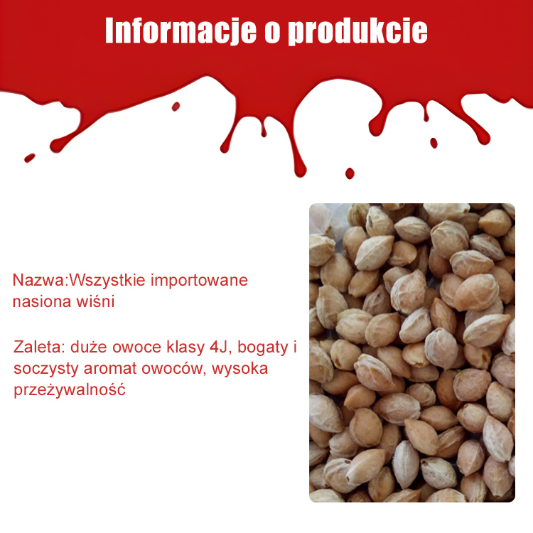【Można sadzić o każdej porze roku】Importowane nasiona wiśni Chelsea✨️Wskaźnik przeżywalności wynosi 99,99%