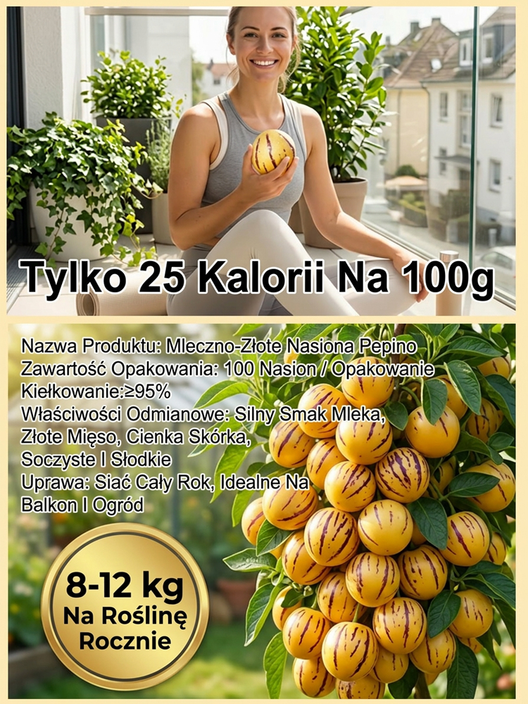 【100 dni do dojrzałości】Nasiona żeń-szenia złocistego – mleczny zapach i zdrowie w jednym słoiczku