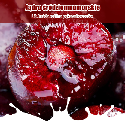 【Można sadzić o każdej porze roku】Importowane nasiona wiśni Chelsea✨️Wskaźnik przeżywalności wynosi 99,99%